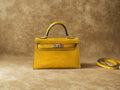 LE SOLÉNA CROCO JAUNE